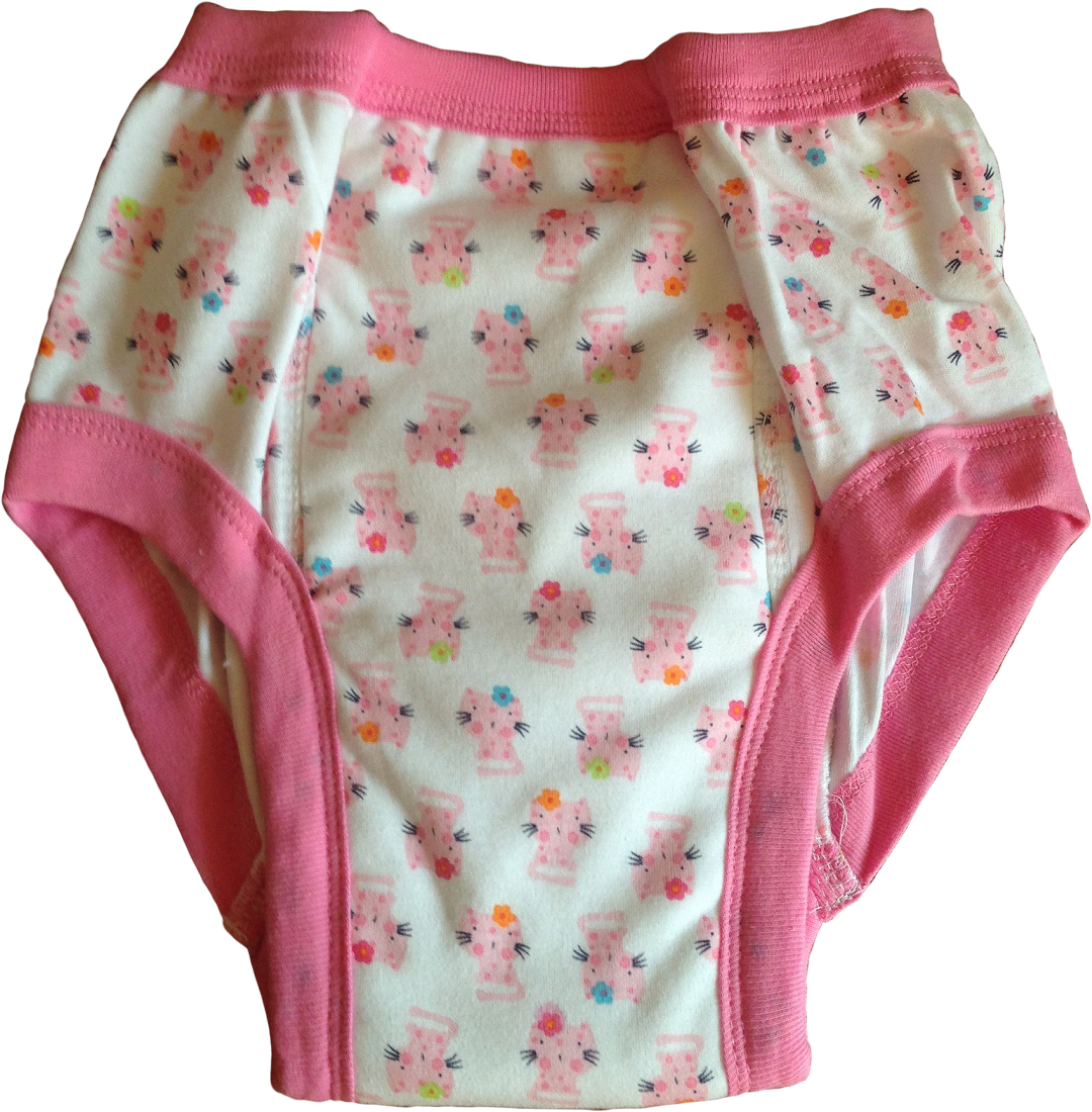 ULTIMATE CLOTH TRAINING PANT REVIEW  A look at my stash of 20  products  for potty training  YouTube